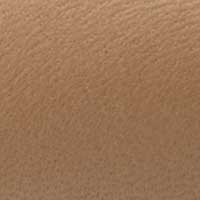 Beige color swatch