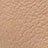 Beige color swatch