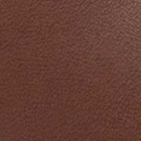 Brown color swatch