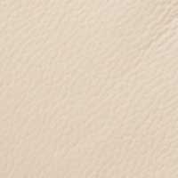 Ivory color swatch