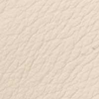 Ivory color swatch