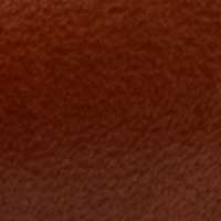 Luggage color swatch