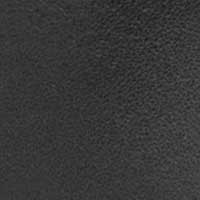 Black color swatch