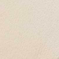 Ivory color swatch