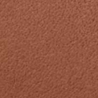 Luggage color swatch