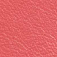 Red color swatch